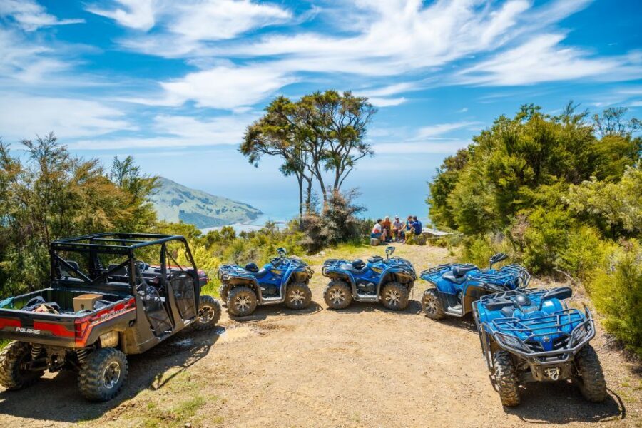 Nelson: Guided Quad Biking Tour Through Forest and Farmland - What To Expect on the Day