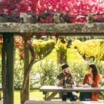 Nelson: Marlborough Wine Tour with Tastings and Lunch - Tastings of Marlborough’s Signature Wines