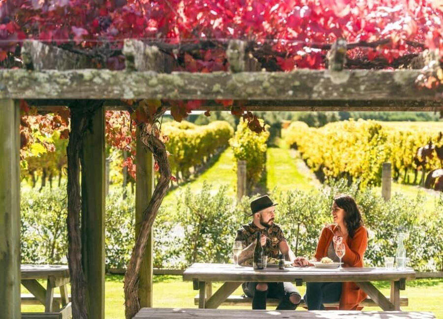 Nelson: Marlborough Wine Tour with Tastings and Lunch - Tastings of Marlborough’s Signature Wines