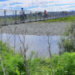 Nelson: Spooners Tunnel to Nelson Cycle Tour - Insights from Past Travelers