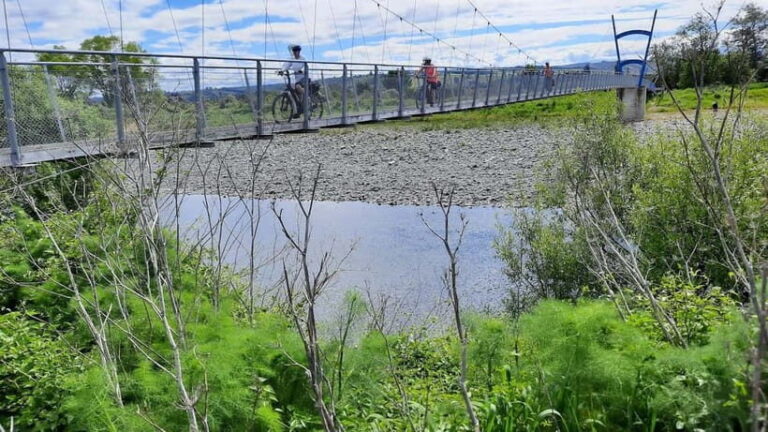 Nelson: Spooners Tunnel to Nelson Cycle Tour - Insights from Past Travelers