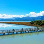 Nelson to Mapua: Full-Day Cycling Self-Guided Adventure - The Iconic Waimea Swing Bridge and Rabbit Island