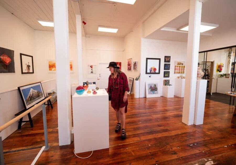Nelson: Wine and Art Tour with Tastings and Lunch - The Sum Up: Is It Worth It?