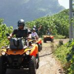 NEW!!! ATV TOURS with a local tour guide from Bora Bora - What to Expect from the Experience