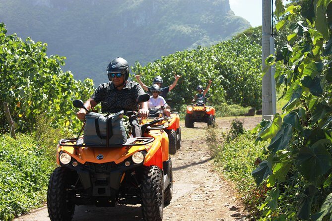 NEW!!! ATV TOURS with a local tour guide from Bora Bora - What to Expect from the Experience