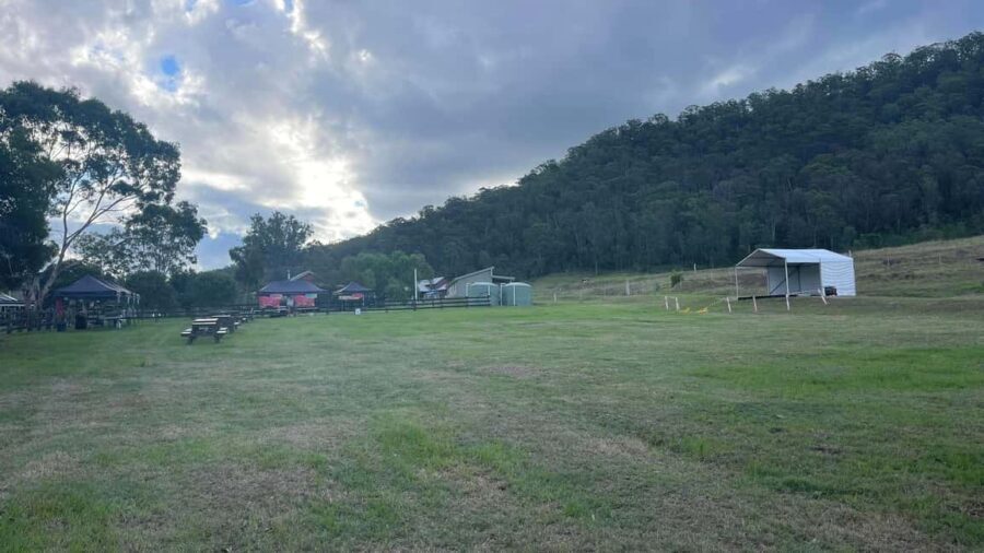 New Gokula Farm, Cessnock & Newcastle Day Tour from Sydney - Exploring New Gokula Farm