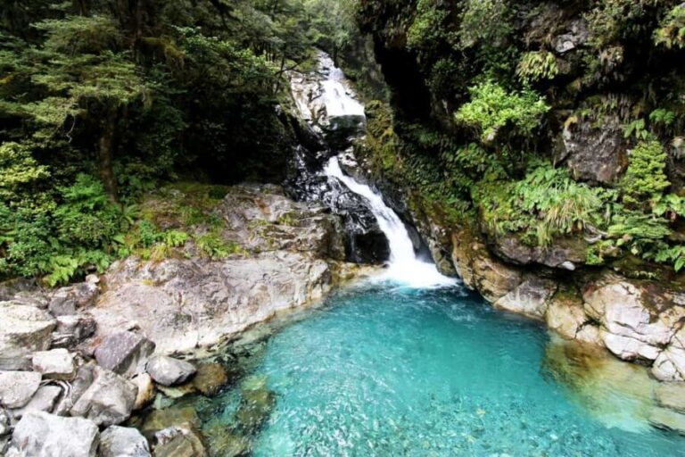 New Zealand: 9-Day Private Tour with 14-16 Activities - What Makes This Tour Stand Out?