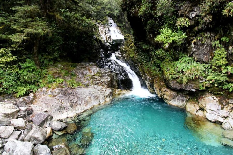 New Zealand: 9-Day Private Tour with 14-16 Activities - What Makes This Tour Stand Out?