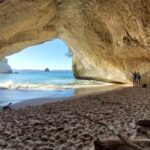 New Zealand: Guided 90-Day Tour of North & South Islands - Transport and Comfort