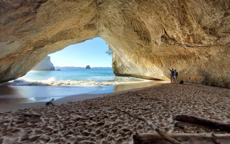 New Zealand: Guided 90-Day Tour of North & South Islands - Transport and Comfort