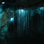 New Zealand: Milky Way Glowworm Cave Tour - A Closer Look at the Experience