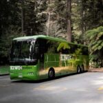 New Zealand: National Hop-On Hop-Off Pass - Itinerary Breakdown and Highlights