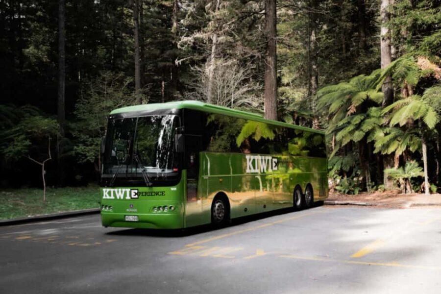 New Zealand: National Hop-On Hop-Off Pass - Itinerary Breakdown and Highlights