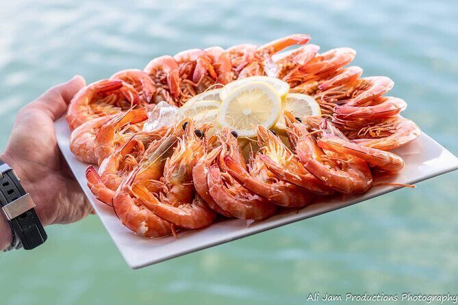 Newcastle Harbour Luncheon Cruise - Who Is This Cruise Best For?