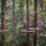 Newcastle: Junior Tree Ropes Course - Who Will Love This Experience?