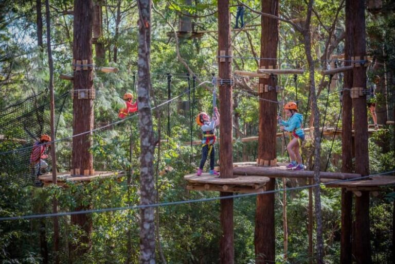 Newcastle: Junior Tree Ropes Course - Who Will Love This Experience?