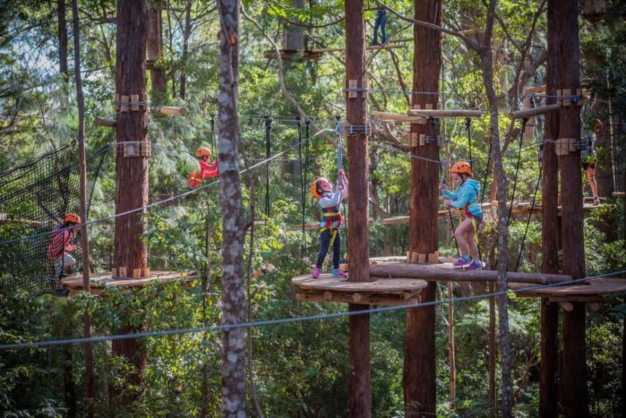 Newcastle: Junior Tree Ropes Course - Who Will Love This Experience?