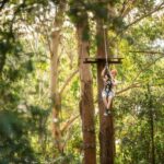 Newcastle: Tree Ropes Course Adventure - The Highlights in Detail