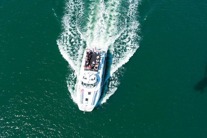 Newcastle Whale Watching Cruise - The Sum Up