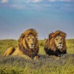Ngorongoro Crater Day Trip with Picnic Lunch - Practical Considerations and Tips