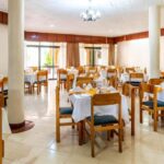 Nightlife in Nairobi & Safari Park Dinner - Discovering the Nightlife in Nairobi with a Safari Park Dinner