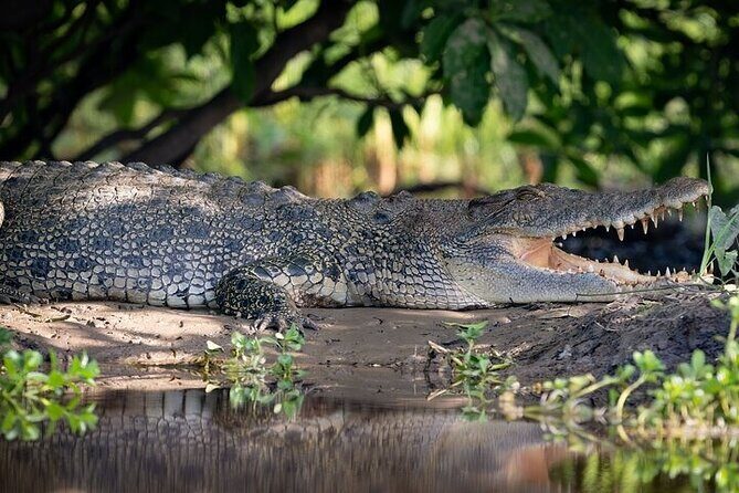 Nitmiluk National Park & Katherine Hot Springs - Sacred Owl Tours - A Complete Look at the Itinerary