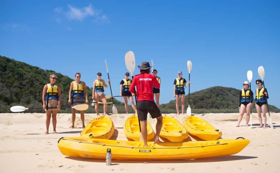 Noosa: Dolphin Sea Kayak & Beach 4X4 Tour (in National Park) - Practical Details and Value