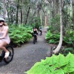 Noosa: E-Bike Tour from Mt Tinbeerwah to Noosa - Scenic Highlights Along the Way