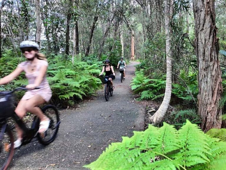 Noosa: E-Bike Tour from Mt Tinbeerwah to Noosa - Scenic Highlights Along the Way