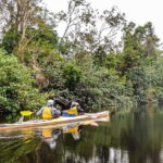 Noosa Everglades: Truly Sustainable Guided KAYAK Tour - Evaluating the Value and Practicality