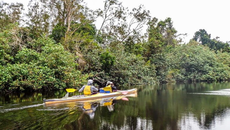 Noosa Everglades: Truly Sustainable Guided KAYAK Tour - Evaluating the Value and Practicality