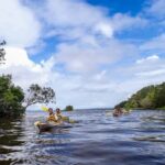 Noosa Everglades: Truly Sustainable Self Guided KAYAK Tour - Detailed Itinerary and Experience Breakdown