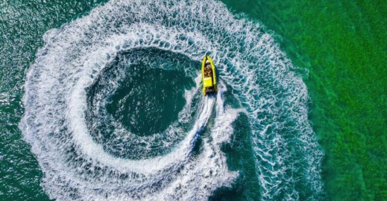 Noosa Ocean adventure & Dolphin Safari. - What to Expect on Your Noosa River and Coastline Cruise