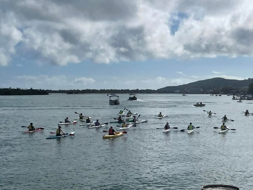 Noosa River: Mangroves and Mansions Guided Kayak Tour - What’s Included and Practical Details