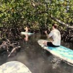Noosa Stand Up Paddle & Mangrove Tunnel Tour (Fully Guided) - What Sets This Tour Apart?