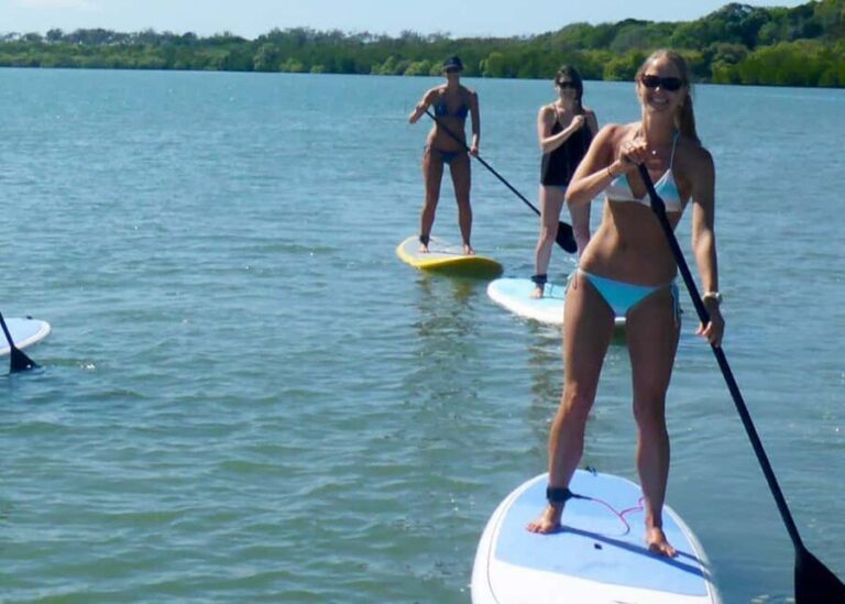 Noosa Stand Up Paddle & Mangrove Tunnel Tour (Self Guided) - Why This Tour Is a Win for Nature and Adventure Lovers