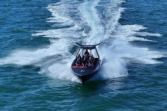 Noosa Thriller: Ocean & Dolphin Adventure Tour - What Makes This Tour Stand Out?