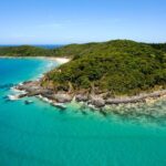 Noosa Whale Watching Tours - The Experience: What Sets This Tour Apart