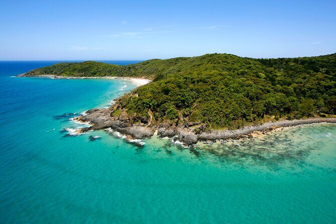 Noosa Whale Watching Tours - The Experience: What Sets This Tour Apart
