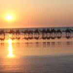 North of Rocks on Cable Beach: 1-Hour Sunset Camel Ride - The Experience in Detail