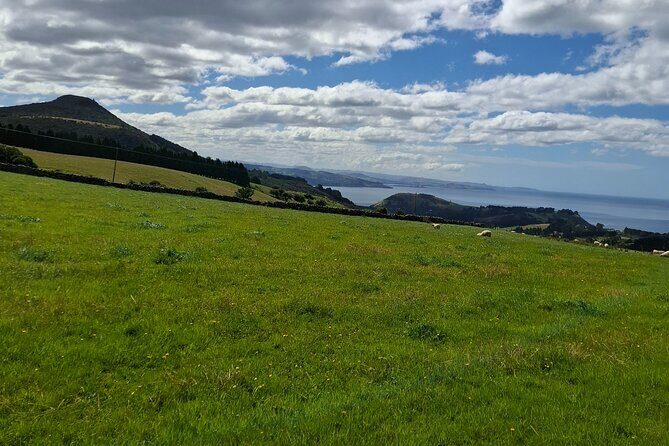 North Otago 7 Hours Scenic & Wildlife Tour - Who Is This Tour Best For?