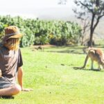 North Stradbroke Island Day Tour from Brisbane  Small Group - Wildlife and Natural Encounters