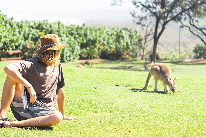 North Stradbroke Island Day Tour from Brisbane  Small Group - Wildlife and Natural Encounters