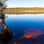 North Stradbroke Island Private Tour with Pickup - Practical Details & Tips