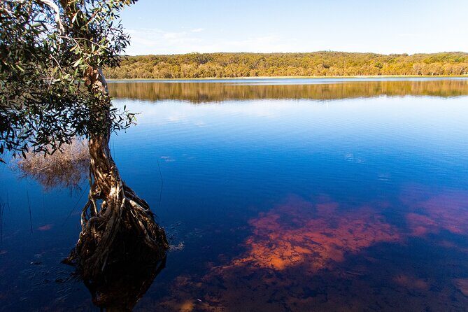 North Stradbroke Island Private Tour with Pickup - Practical Details & Tips