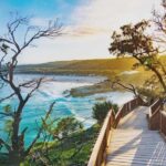 North Stradbroke Island: Whales, Wildlife & Beaches Day Trip - The Sum Up: Who Will Love This Tour?