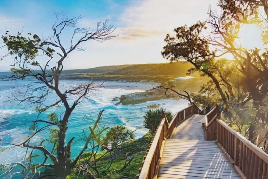 North Stradbroke Island: Whales, Wildlife & Beaches Day Trip - The Sum Up: Who Will Love This Tour?