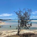 North Stradbroke Island WILDLIFE Adventure Tour from Brisbane - What to Expect from the Itinerary