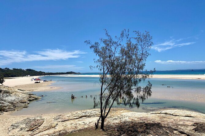 North Stradbroke Island WILDLIFE Adventure Tour from Brisbane - What to Expect from the Itinerary