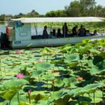 Northern Territory: Corroboree Billabong Nature Cruises - Experience Overview and Itinerary